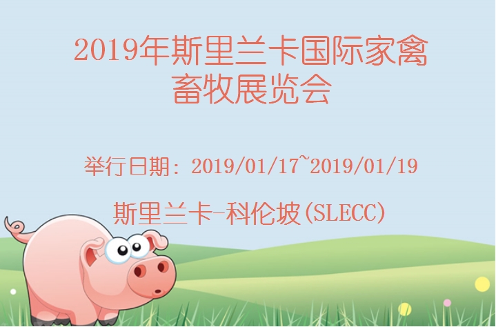 博览会
