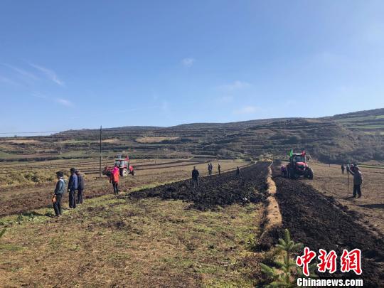 图为在甘肃渭源县会川镇标准化种植的药材地里，驶过的农用机车快速地将黄芪从土里翻出。　徐雪 摄