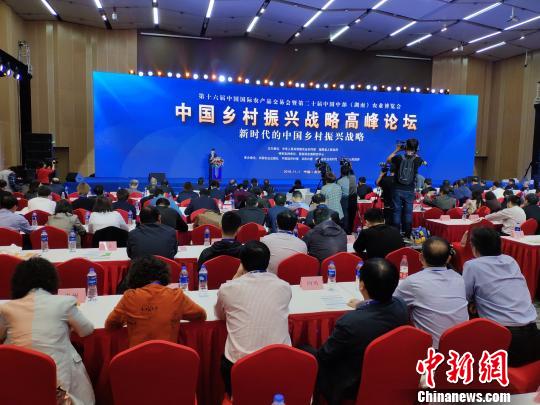 论坛现场。　王昊昊 摄