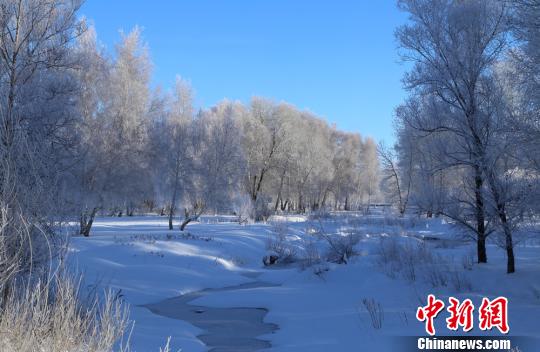“醉美雪桦”及当地民俗成为冬季冰雪旅游的亮点。　哈巴河县委宣传部供图 摄